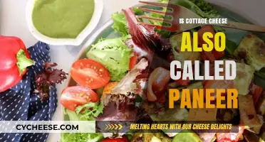 Cottage Cheese vs Paneer: Are They the Same Cheese?