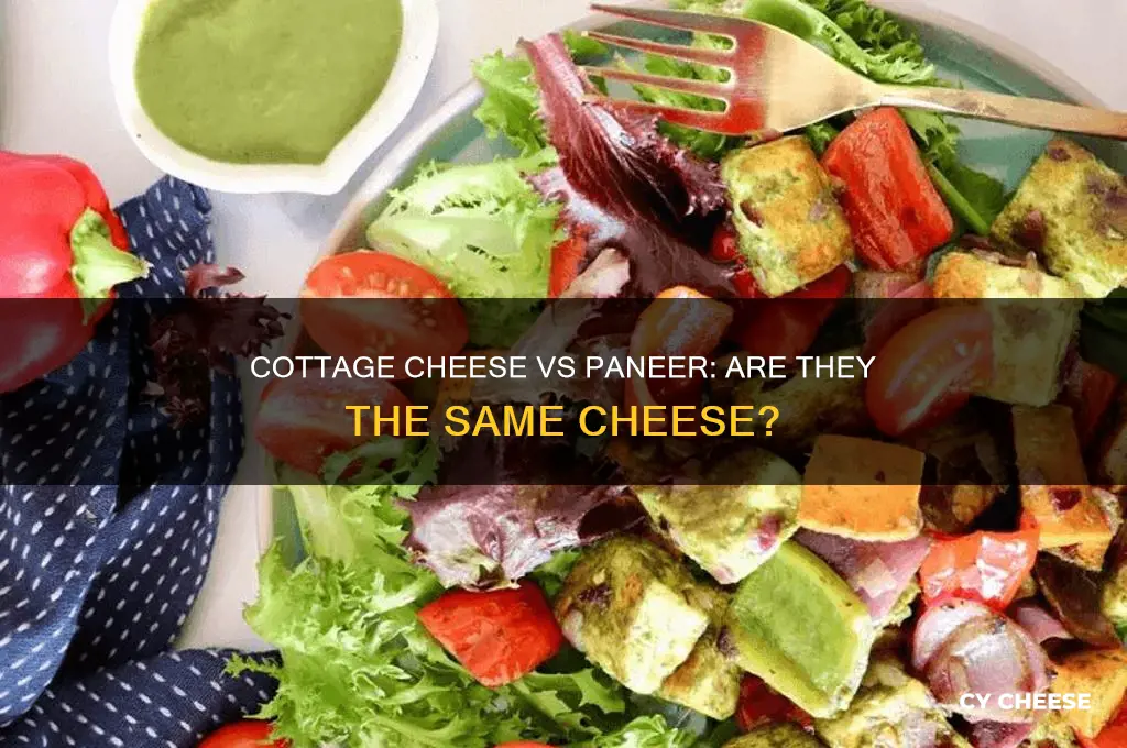 is cottage cheese also called paneer