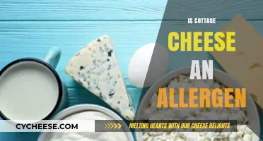 Is Cottage Cheese an Allergen? Understanding Potential Risks and Reactions