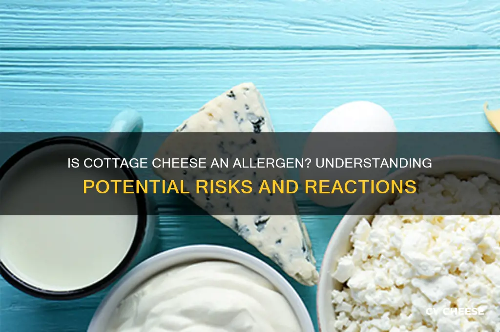 is cottage cheese an allergen