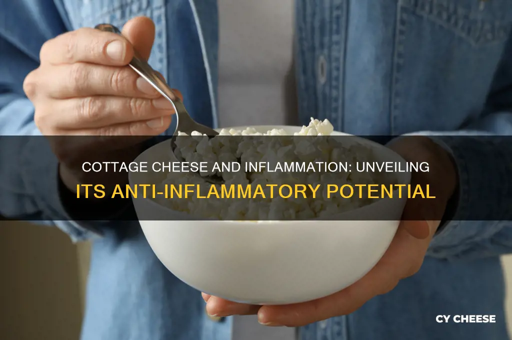 is cottage cheese an anti inflammatory food