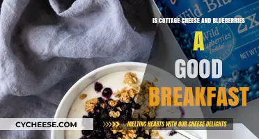 Cottage Cheese and Blueberries: A Nutritious Breakfast Power Duo?