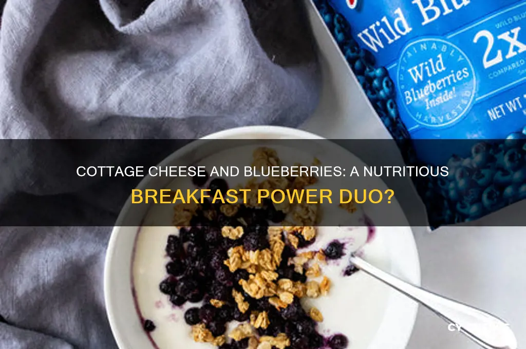 is cottage cheese and blueberries a good breakfast