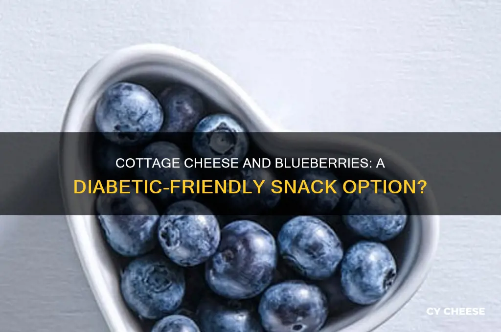 is cottage cheese and blueberries good for diabetics