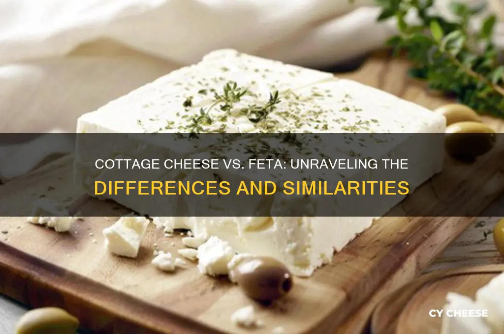 is cottage cheese and feta same