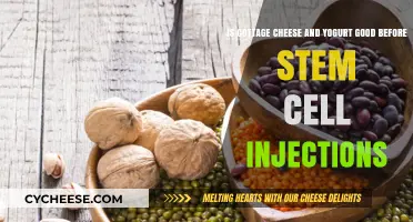 Cottage Cheese and Yogurt: Pre-Stem Cell Injection Diet Benefits