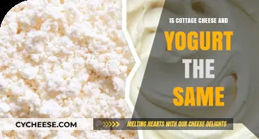 Cottage Cheese vs. Yogurt: Unraveling the Dairy Differences and Similarities