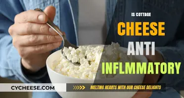Cottage Cheese and Inflammation: Uncovering Its Anti-Inflammatory Benefits