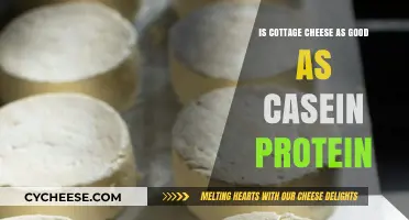 Cottage Cheese vs. Casein Protein: Which is Better for You?