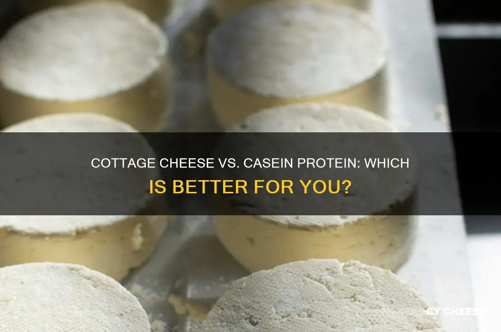 is cottage cheese as good as casein protein