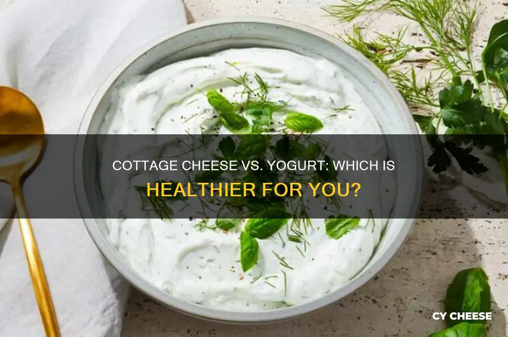 is cottage cheese as good for you as yogurt