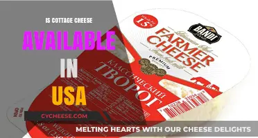 Cottage Cheese in the USA: Availability, Brands, and Where to Buy