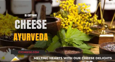 Cottage Cheese in Ayurveda: Benefits, Doshas, and Healthy Eating Tips
