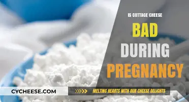 Is Cottage Cheese Safe During Pregnancy? Nutrition Facts and Risks