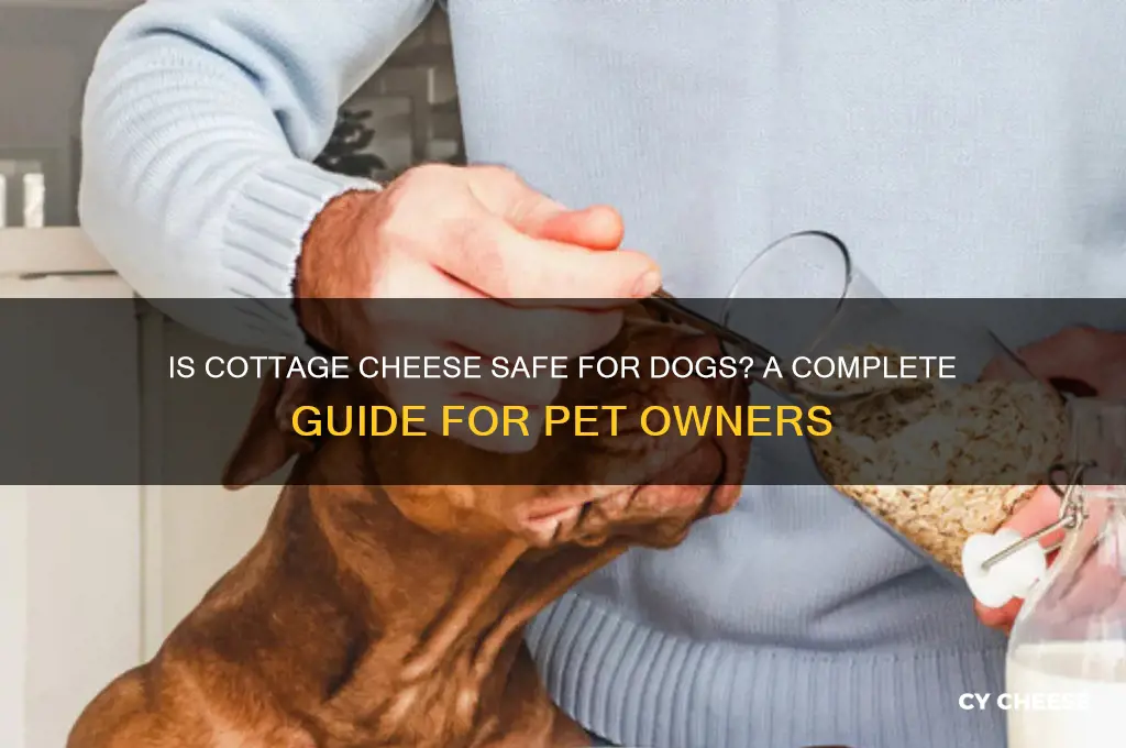is cottage cheese bad for a dog