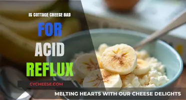 Cottage Cheese and Acid Reflux: Friend or Foe for Your Health?