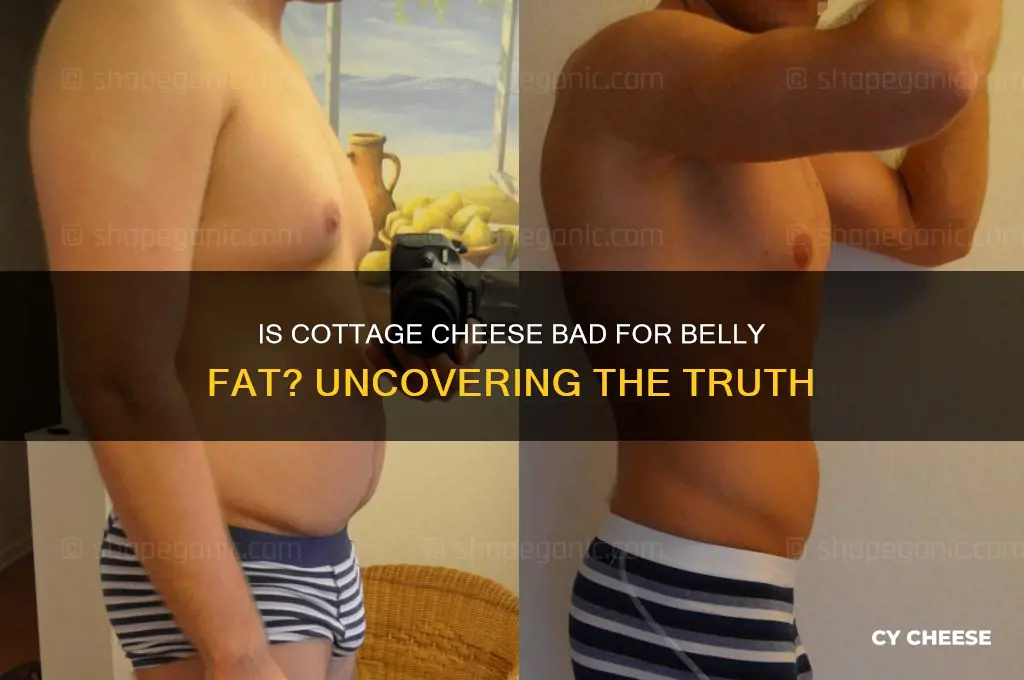 is cottage cheese bad for belly fat