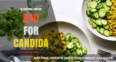Cottage Cheese and Candida: Is It a Safe Diet Choice?