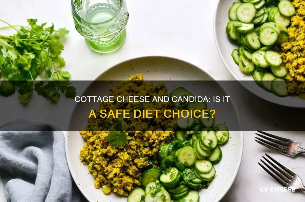 is cottage cheese bad for candida