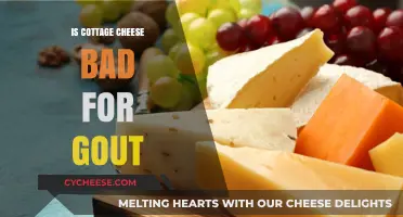 Cottage Cheese and Gout: Debunking Myths for a Healthier Diet