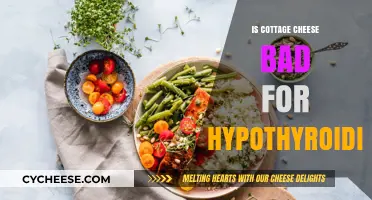 Cottage Cheese and Hypothyroidism: Is It a Healthy Choice?