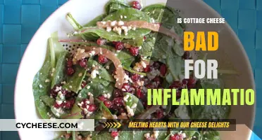 Cottage Cheese and Inflammation: Debunking Myths for a Healthier Diet
