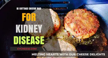 Cottage Cheese and Kidney Disease: Safe or Risky Choice?
