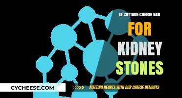 Cottage Cheese and Kidney Stones: Debunking Myths for Better Health