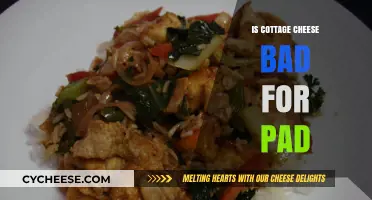 Is Cottage Cheese Bad for Pads? Debunking Myths and Facts