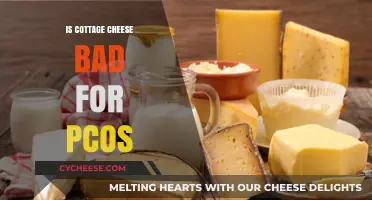 Cottage Cheese and PCOS: Unraveling the Truth for Hormonal Health