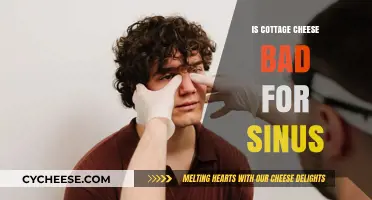 Cottage Cheese and Sinus Health: Debunking Myths and Facts