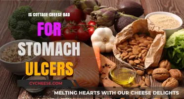 Cottage Cheese and Stomach Ulcers: Safe or Harmful for Healing?