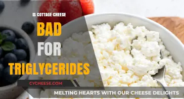 Cottage Cheese and Triglycerides: Debunking Myths for Heart Health