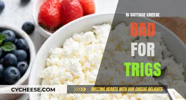 Is Cottage Cheese Bad for Triglycerides? Uncovering the Truth