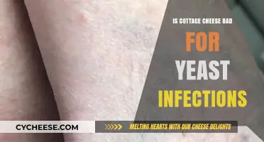 Cottage Cheese and Yeast Infections: Separating Fact from Fiction