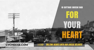 Cottage Cheese and Heart Health: Debunking Myths for a Healthy Diet