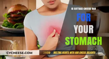Is Cottage Cheese Bad for Your Stomach? Digestive Truths Revealed