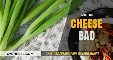 Is Cottage Cheese Bad? Uncovering the Truth About Its Health Impact