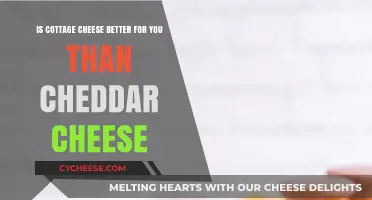 Cottage vs. Cheddar: Which Cheese is Healthier for You?