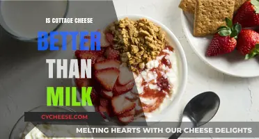 Cottage Cheese vs. Milk: Which Dairy Option is Healthier?