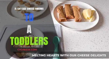 Cottage Cheese for Toddlers: Constipation Concerns and Nutritional Benefits