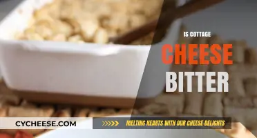 Is Cottage Cheese Bitter? Exploring Its Unique Flavor Profile