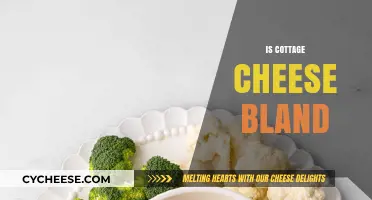 Is Cottage Cheese Bland? Exploring Its Flavor Profile and Culinary Uses