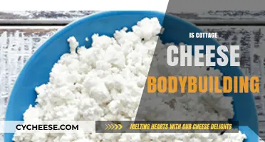 Cottage Cheese for Bodybuilding: Benefits, Myths, and Effective Usage