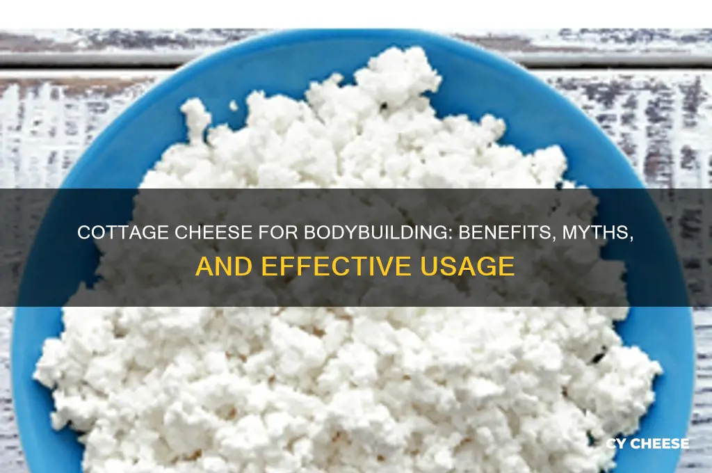 is cottage cheese bodybuilding