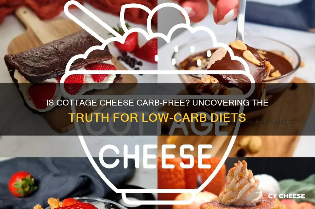is cottage cheese carb free