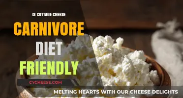 Is Cottage Cheese Allowed on a Carnivore Diet? Facts Revealed