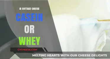 Cottage Cheese: Casein or Whey? Unraveling the Protein Mystery