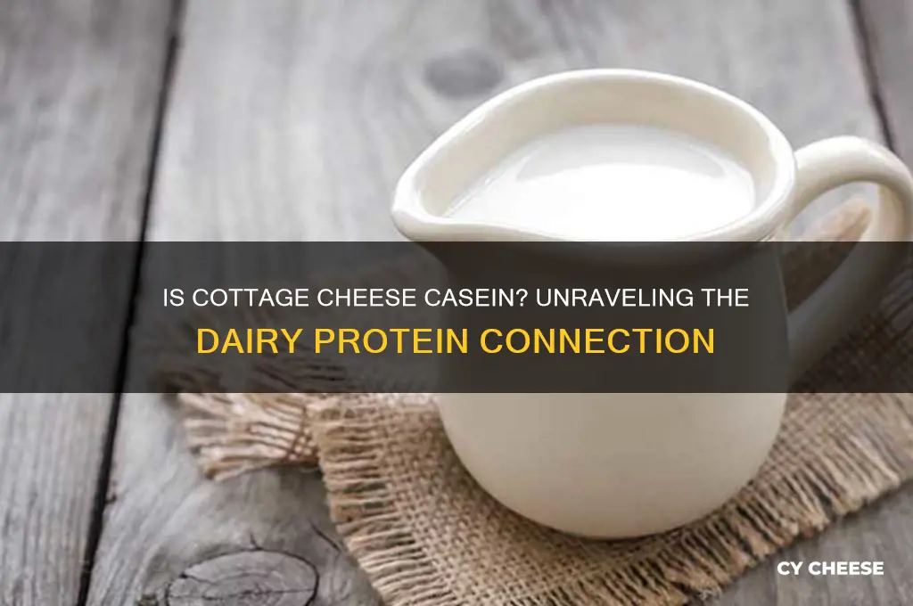 is cottage cheese casein