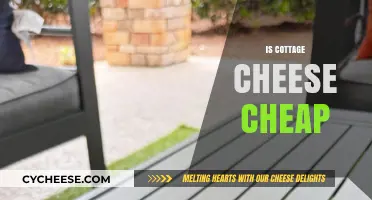 Is Cottage Cheese a Budget-Friendly Protein Option? Let's Find Out